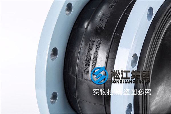 武汉经济技术开发区污水处理工程DN250柔性橡胶接头