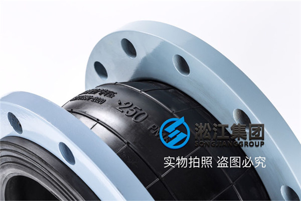武汉经济技术开发区污水处理工程DN250柔性橡胶接头